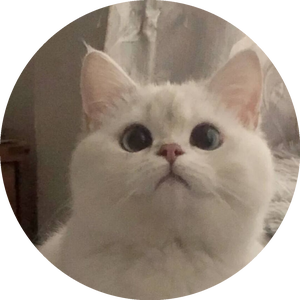 NeverLose.cc - Marketplace - Script 